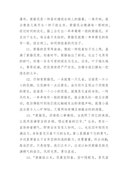 描写紫藤花优美句子.docx