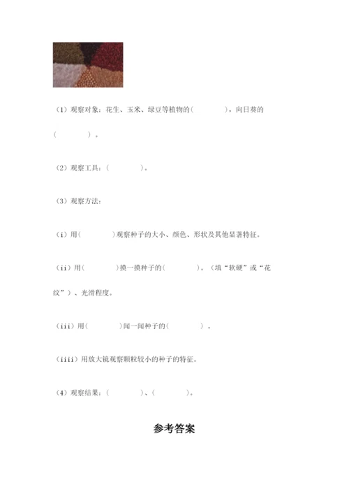 科学四年级下册第一单元植物的生长变化测试卷完整.docx