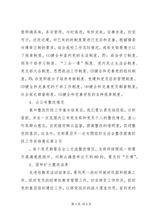 整改提高阶段工作安排意见 (3).docx