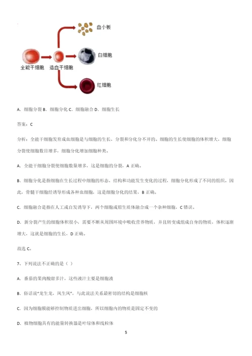 人教版2023初中生物七年级上册第二单元生物体的结构层次知识点归纳超级精简版.docx