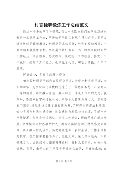 村官挂职锻炼工作总结范文.docx