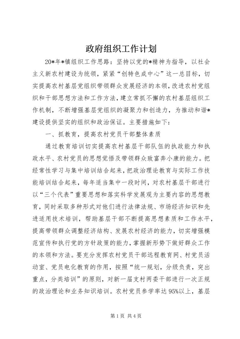 政府组织工作计划.docx