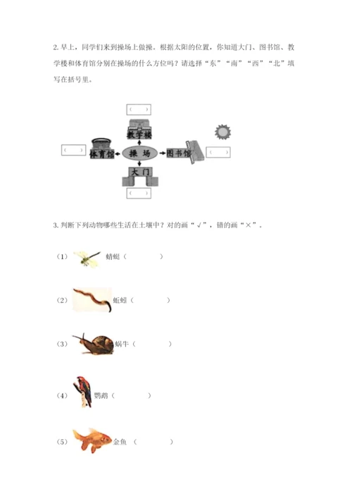 教科版二年级上册科学期末测试卷及完整答案（历年真题）.docx