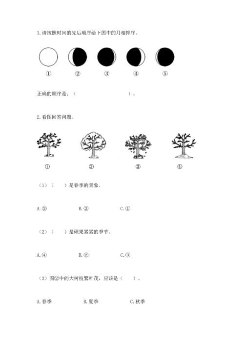 教科版二年级上册科学期末测试卷带答案ab卷.docx