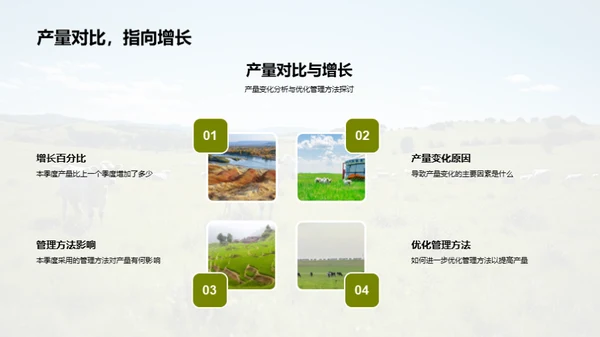 牧场季度产量与管理