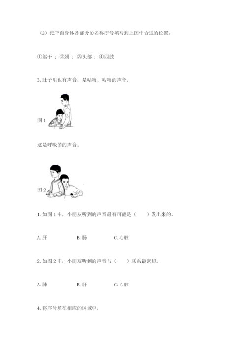 教科版二年级下册科学知识点期末测试卷附参考答案【综合卷】.docx