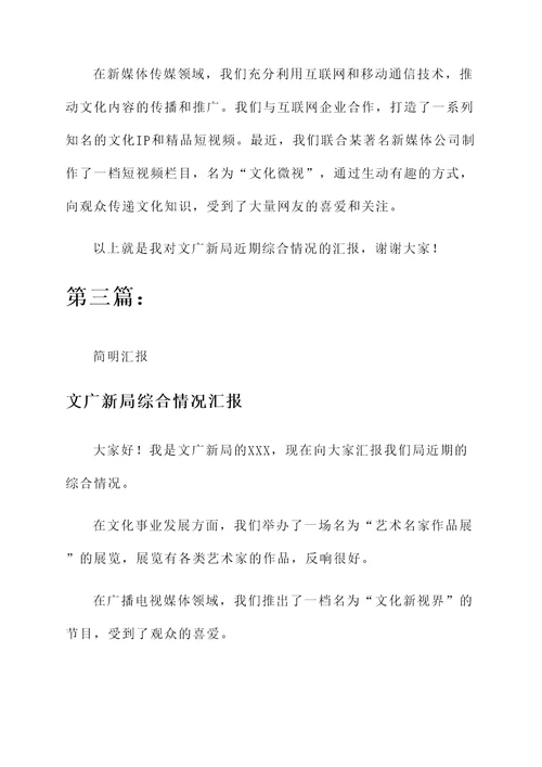文广新局综合情况汇报