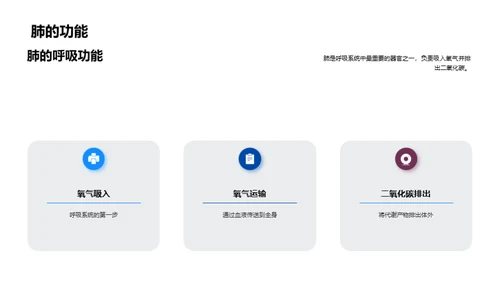 解剖学探索之旅