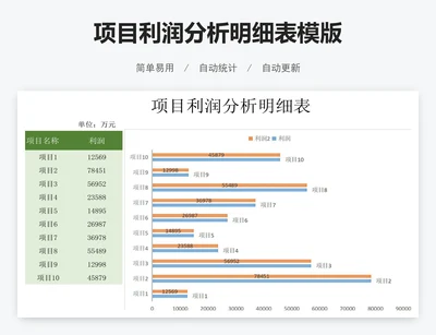 项目利润分析明细表模版