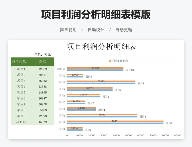 项目利润分析明细表模版