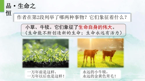 16 散文二篇  永久的生命 课件