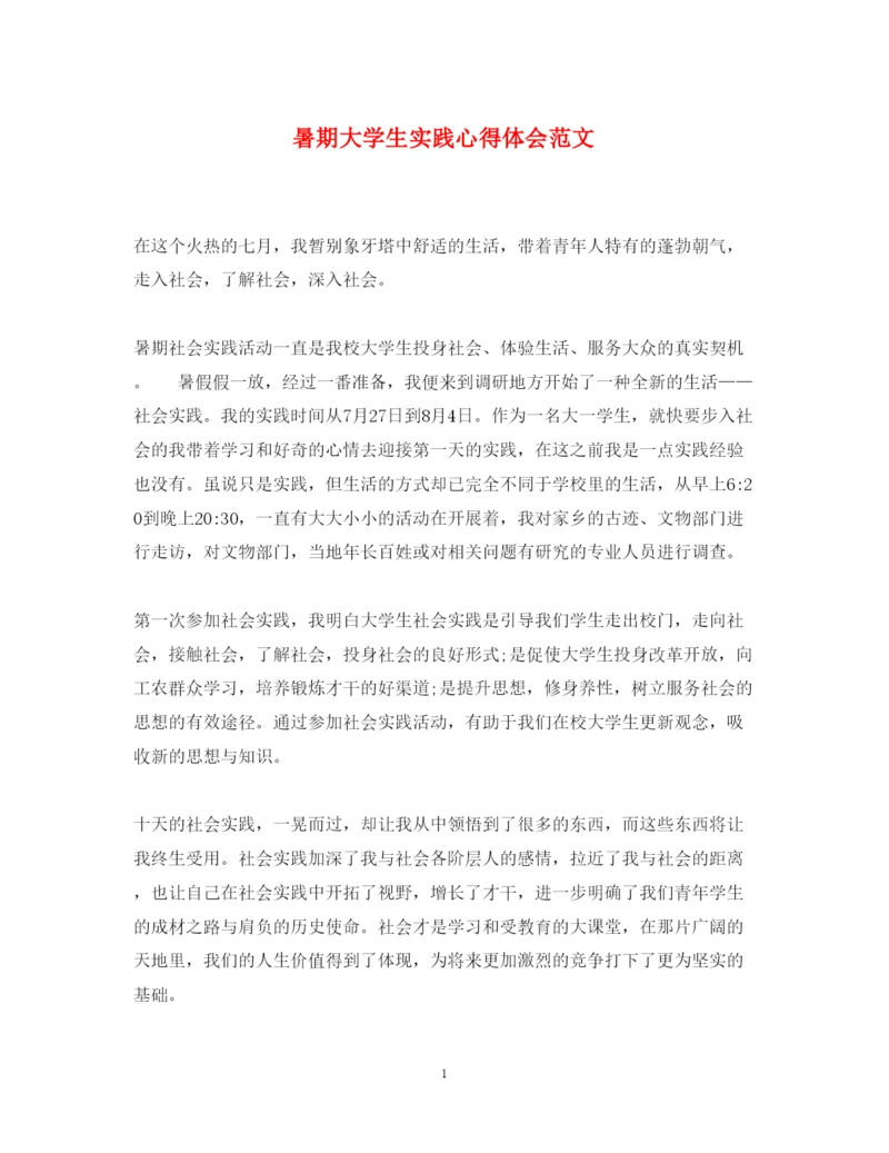 精编暑期大学生实践心得体会范文.docx