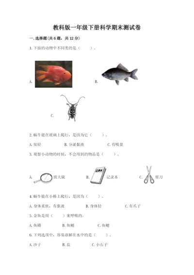 教科版一年级下册科学期末测试卷及完整答案（易错题）.docx