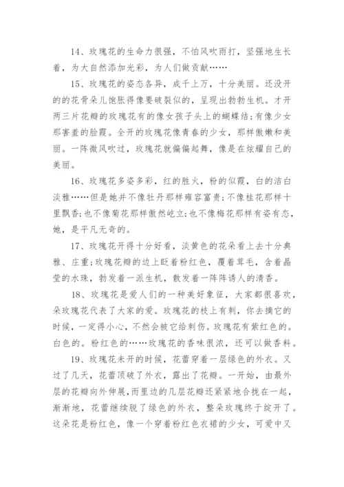 描写玫瑰花的好句好段有哪些.docx