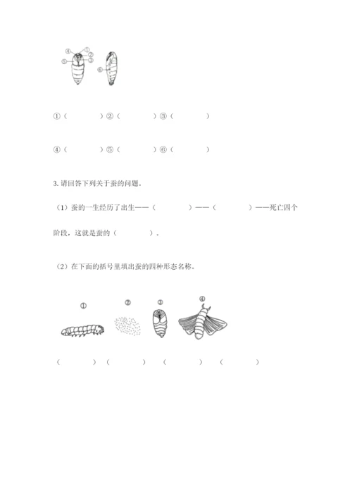 教科版科学三年级下册期末测试卷加精品答案.docx