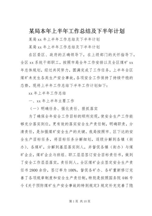 某局本年上半年工作总结及下半年计划.docx