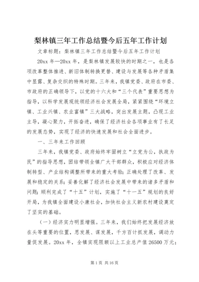 梨林镇三年工作总结暨今后五年工作计划 (7).docx