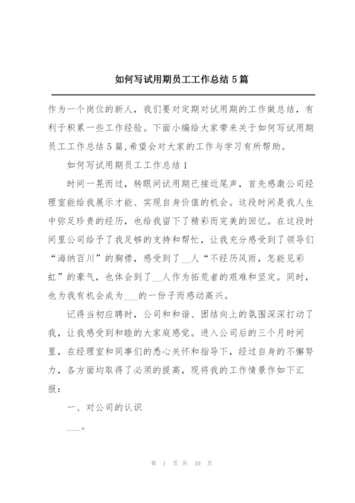 如何写试用期员工工作总结5篇.docx