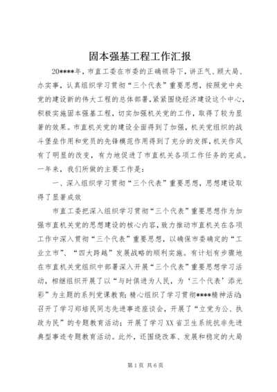 固本强基工程工作汇报.docx