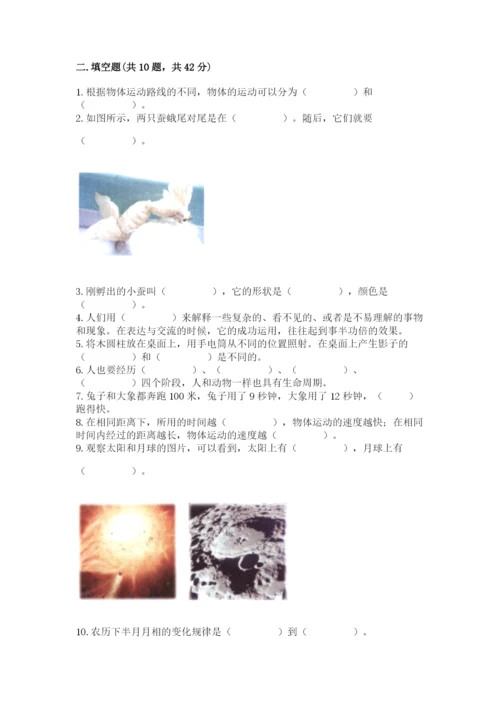 教科版小学科学三年级下册期末测试卷精品【夺冠】.docx