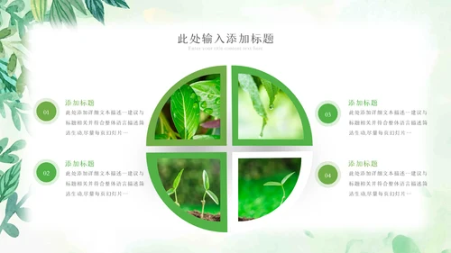 植物生长绿芽小树苗生长发芽成长ppt模板