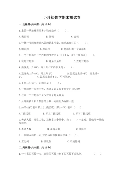 小升初数学期末测试卷（完整版）.docx