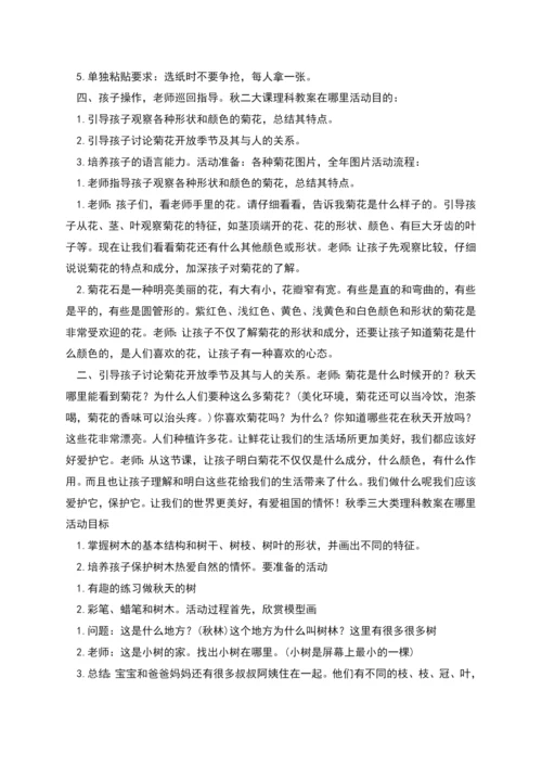 秋季大班理科教案模板在哪里.docx