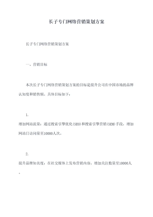 长子专门网络营销策划方案