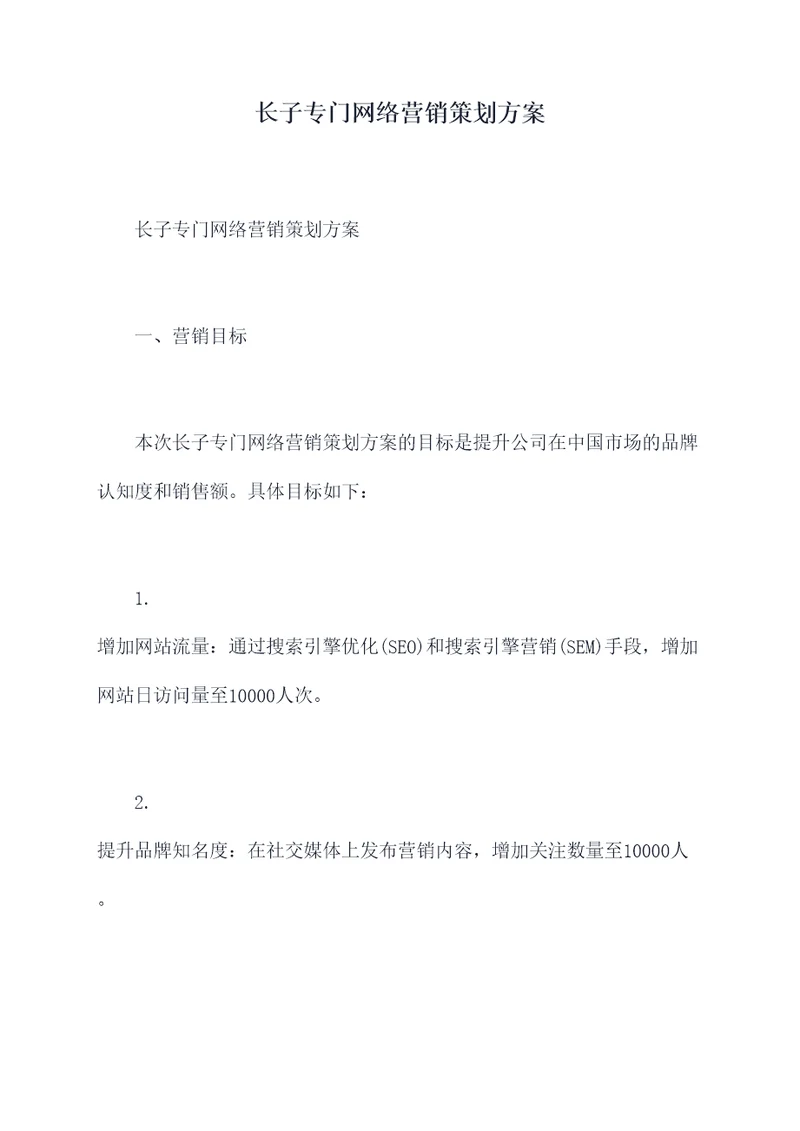 长子专门网络营销策划方案