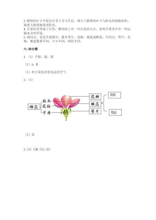 教科版科学四年级下册第一单元《植物的生长变化》测试卷精品（模拟题）.docx