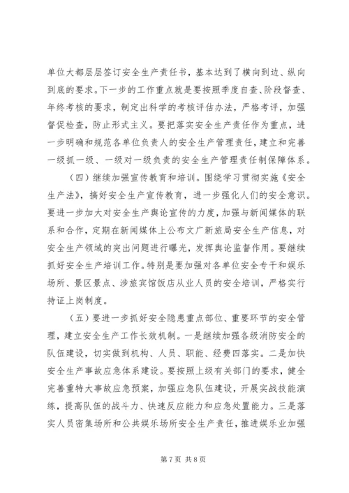 文广局XX年安全生产工作总结及XX年安全工作计划.docx