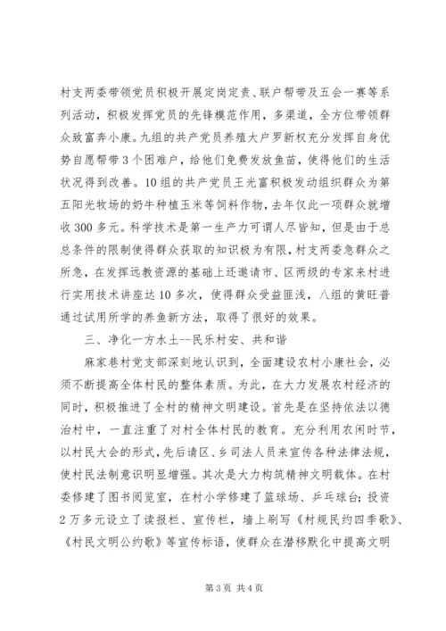 村党支部市级先进推荐材料.docx