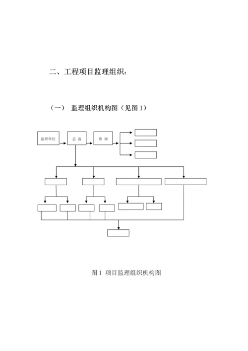 安全监理重点规划及实施标准细则.docx