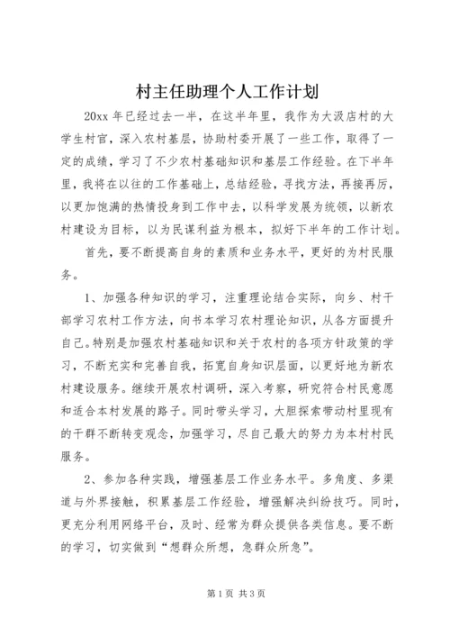 村主任助理个人工作计划.docx