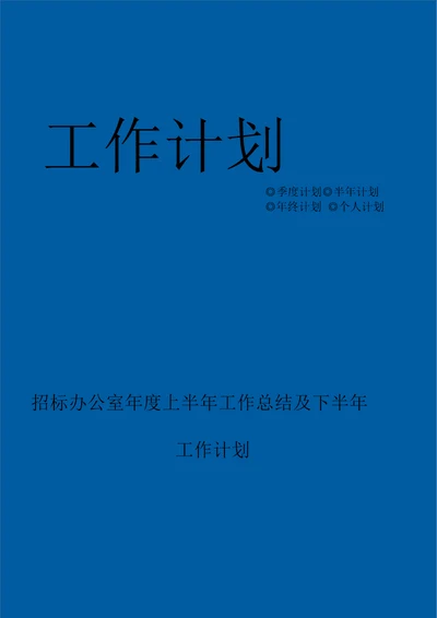 招标办公室年度上半年工作总结及下半年工作计划