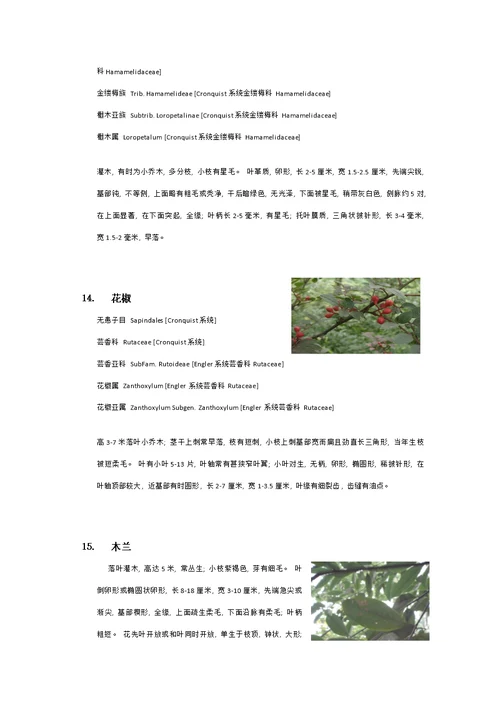 衡山植物园实习植物汇总模板