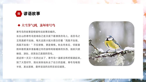 白色简约实拍雪景中国传统节气大雪节气介绍PPT