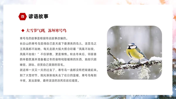 白色简约实拍雪景中国传统节气大雪节气介绍PPT
