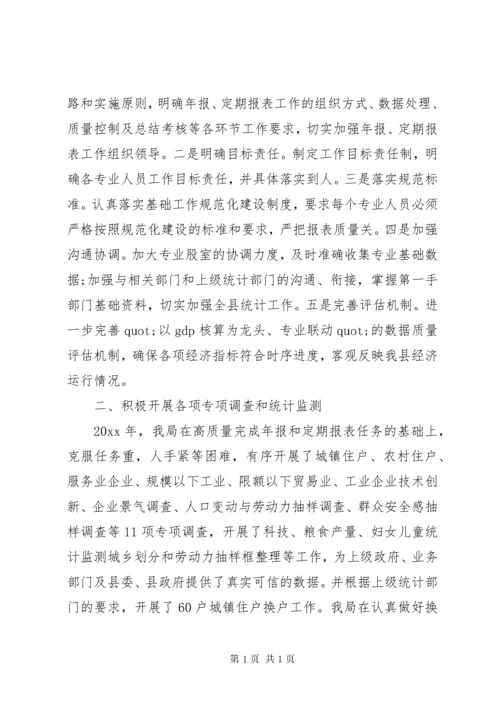 统计局工作总结精选范文.docx