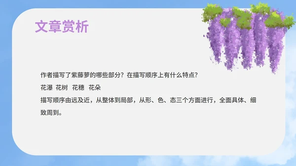 蓝色插画风语文初一下册紫藤萝瀑布教学课件PPT模板
