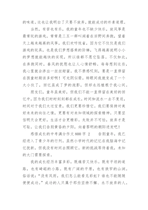 感悟成长的中考满分作文800字.docx