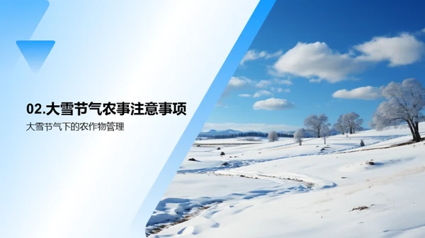 大雪农事应对策略