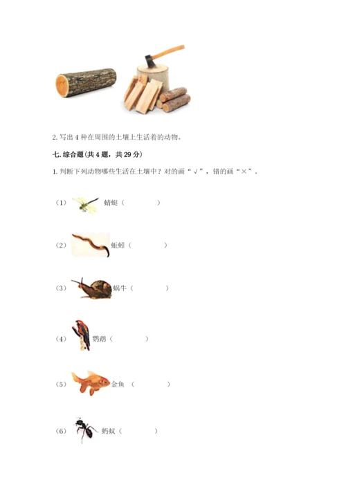 教科版二年级上册科学期末测试卷含答案（实用）.docx