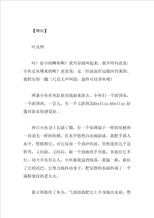 我的动物朋友四年级作文300字