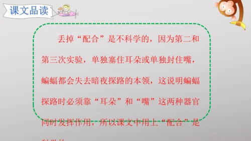 6 夜间飞行的秘密   课件