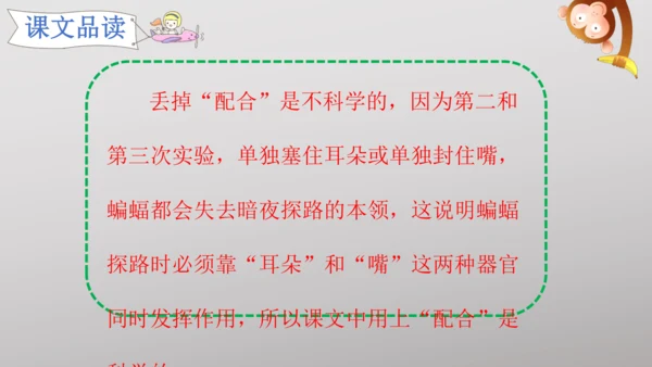 6 夜间飞行的秘密   课件