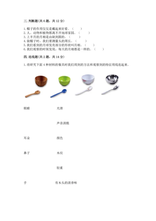 教科版二年级上册科学期末测试卷精品【预热题】.docx