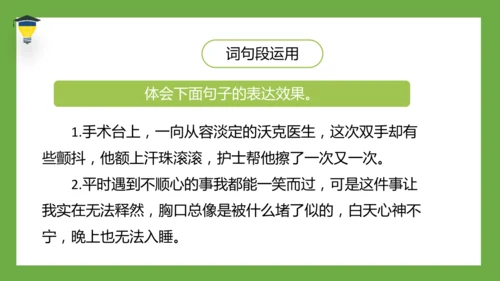 统编版语文五年级下册 第四单元  语文园地四 课件