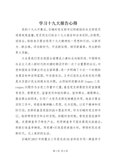 学习十九大报告心得 (2).docx