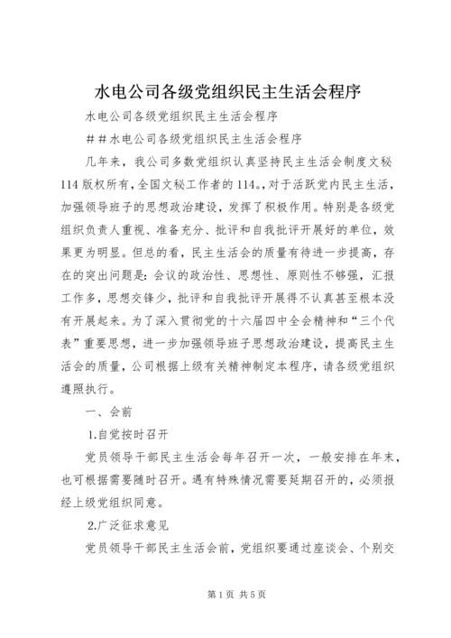 水电公司各级党组织民主生活会程序 (3).docx